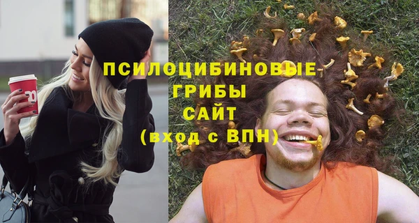 тгк Абаза
