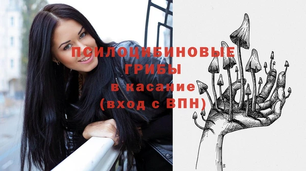 тгк Абаза