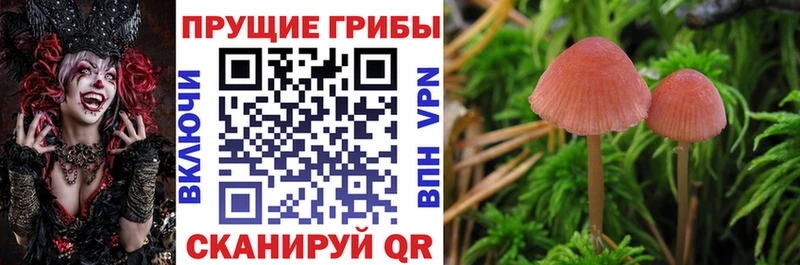Галлюциногенные грибы MAGIC MUSHROOMS Абдулино